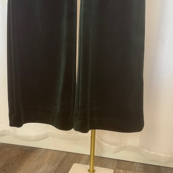 Express Elegant Deep Green Velvet Flare Pants - Picture 5 of 9